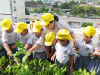VƯỜN RAU CỦA BÉ