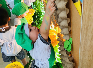 TRẢI NGHIỆM THU HOẠCH MẬT ONG