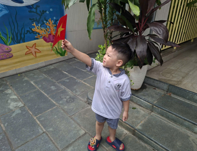 Album Hoạt động 